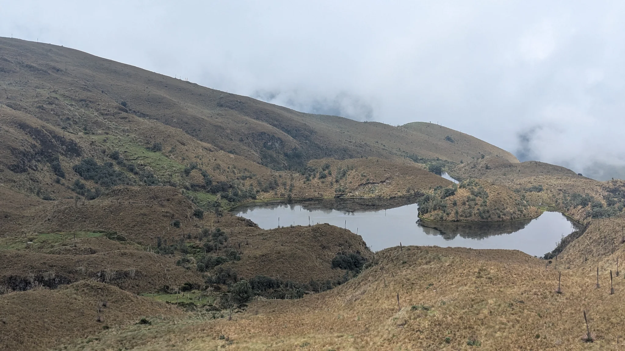 Una península en una laguna cerca del cerro Minas. El nombre del cuerpo de agua sigue sin confirmarse.