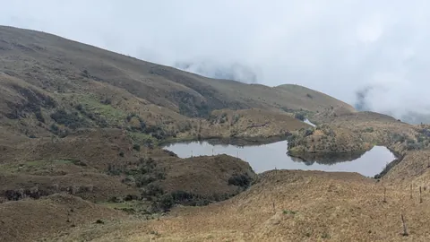 Una península en una laguna cerca del cerro Minas. El nombre del cuerpo de agua sigue sin confirmarse.