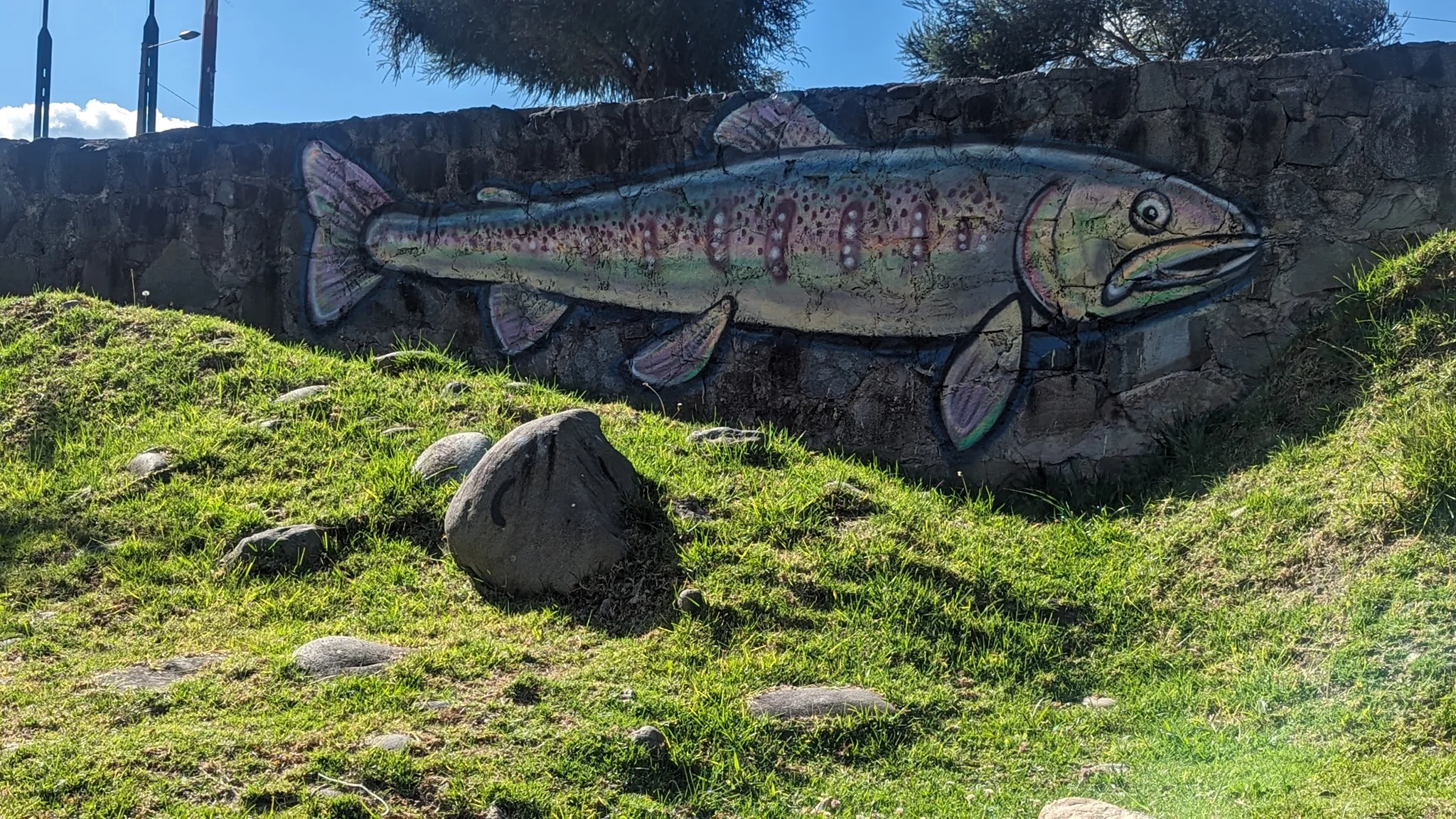 Un pez pintado en una roca grande