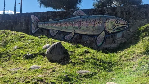 Un pez pintado en una roca grande