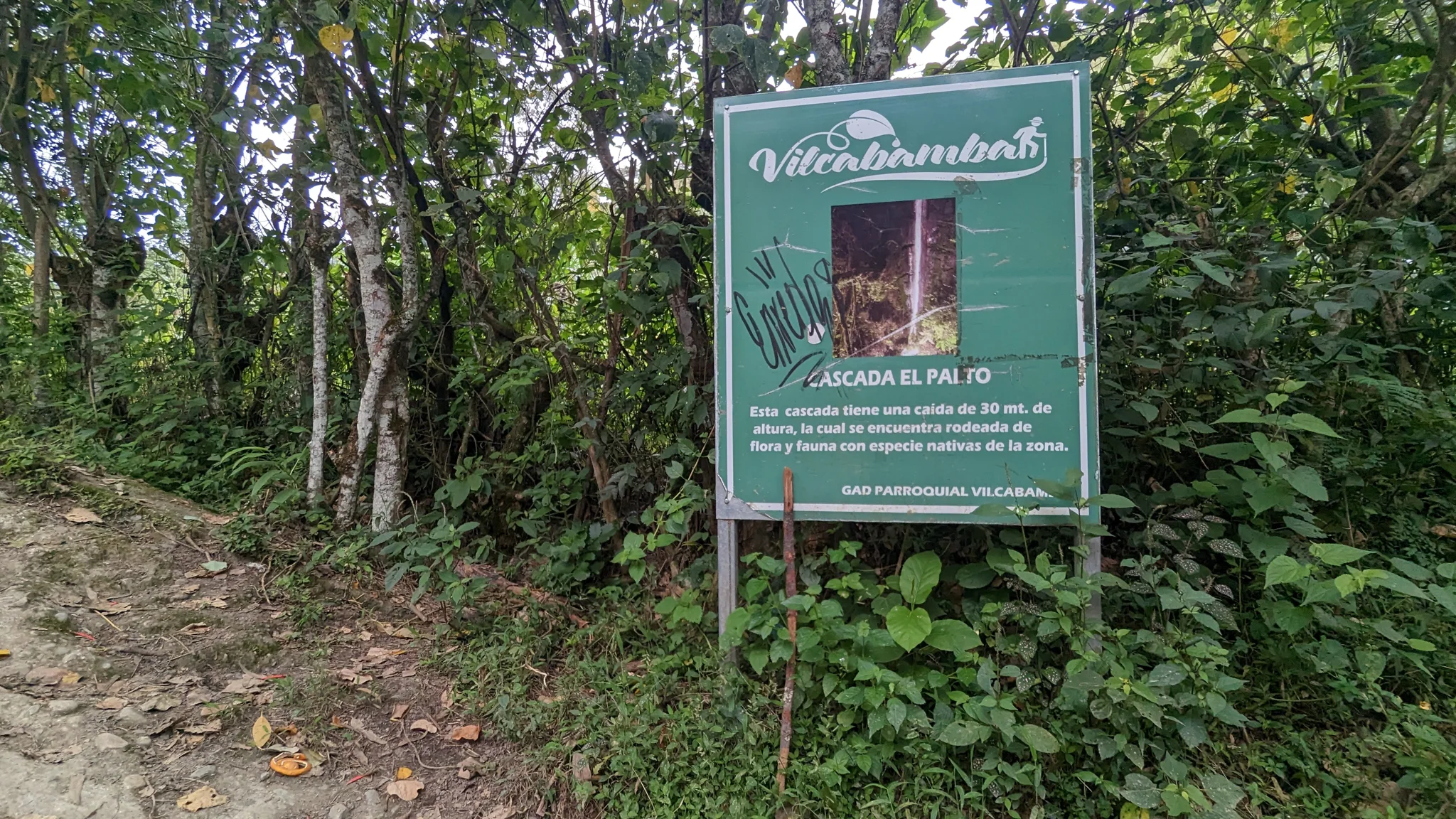 Entrada a un sendero boscoso