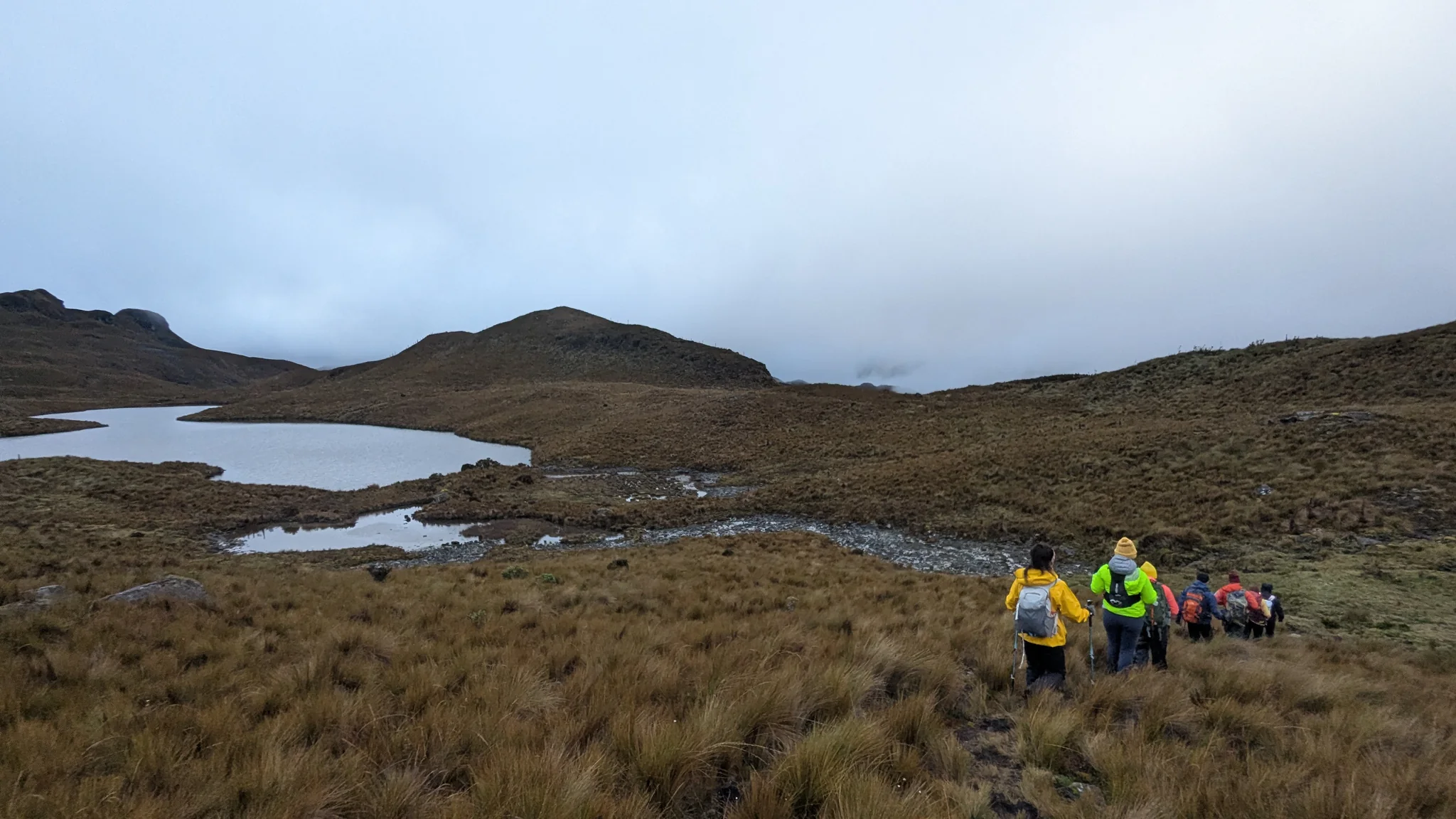 Un grupo de caminantes baja por una ladera de pajonal junto a la orilla irregular y los pequeños islotes de la laguna El Ocho.