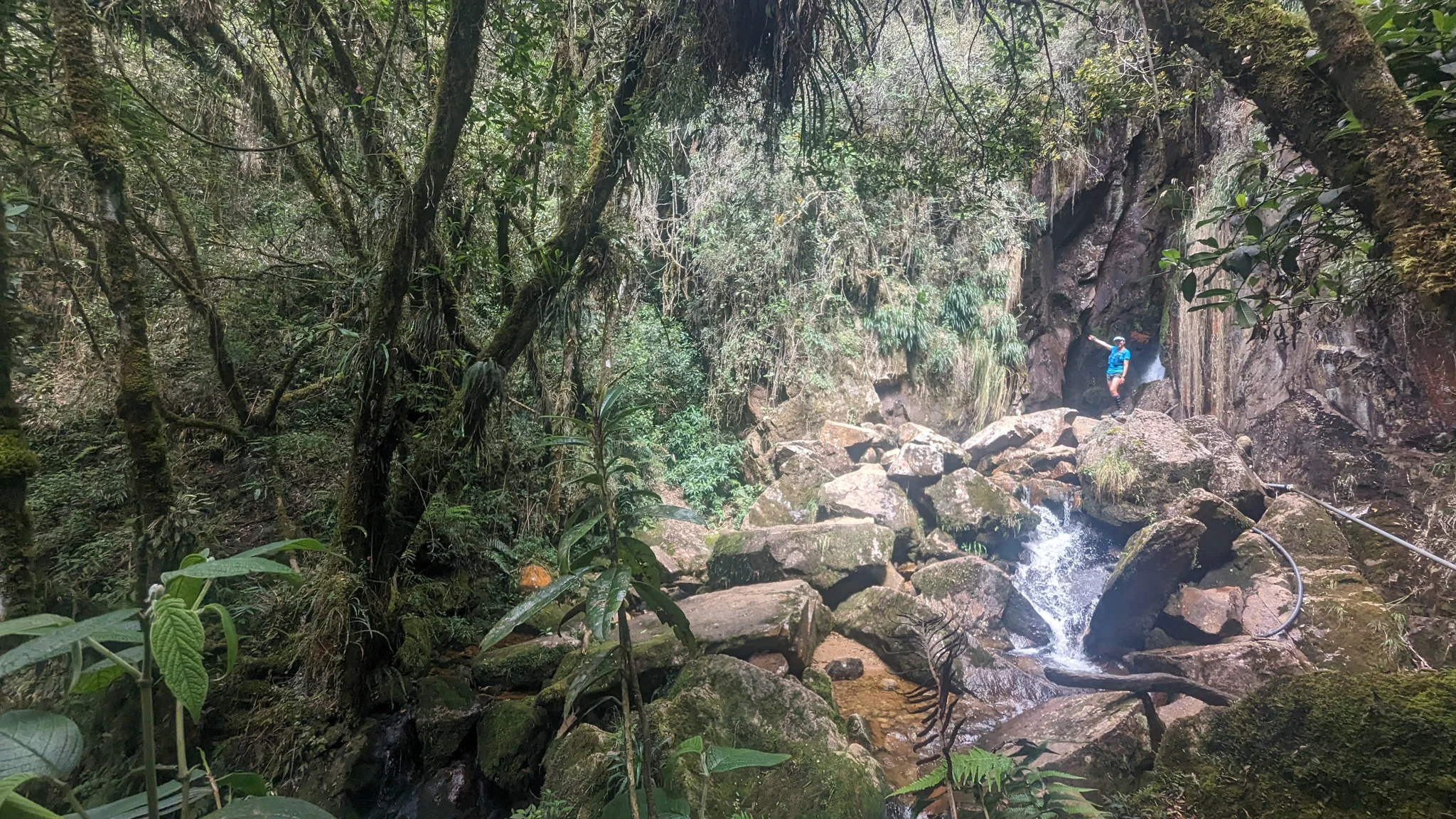 Una quebrada sombreada entre rocas con musgo