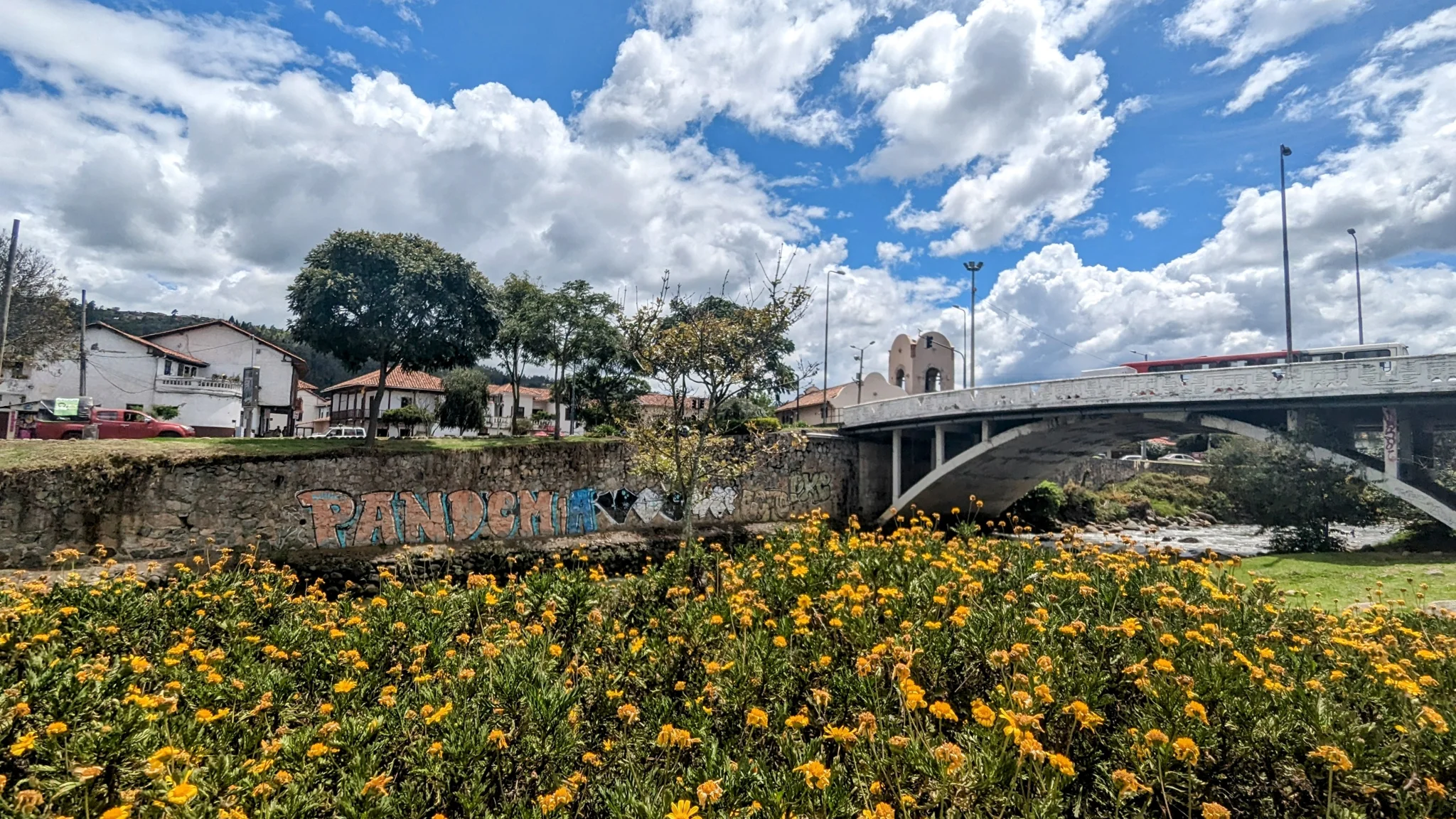 Tagetes en un parque ribereño.