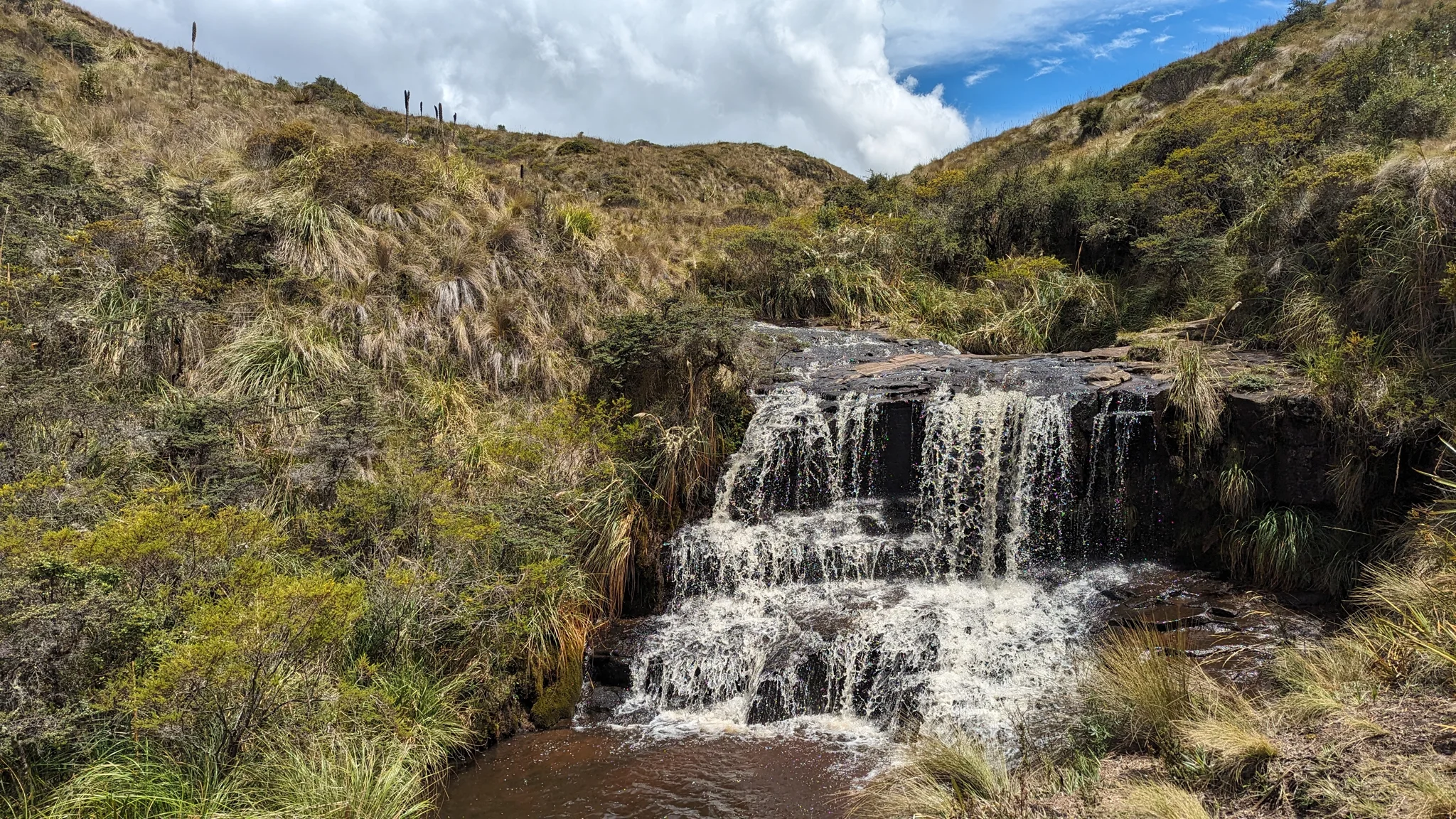 Una cascada escalonada entre arbustos