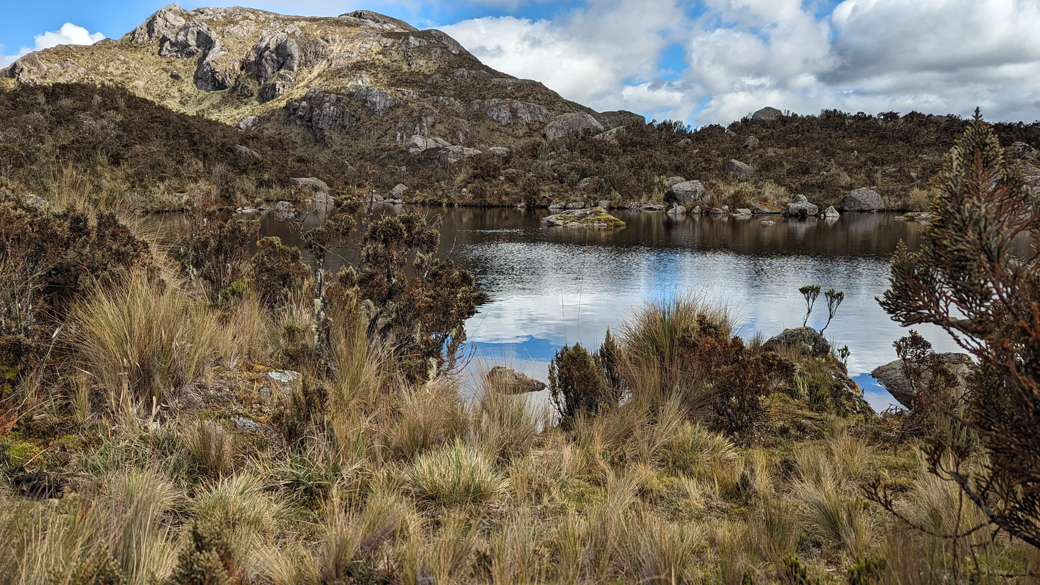 Una laguna pequeña entre pajonales.