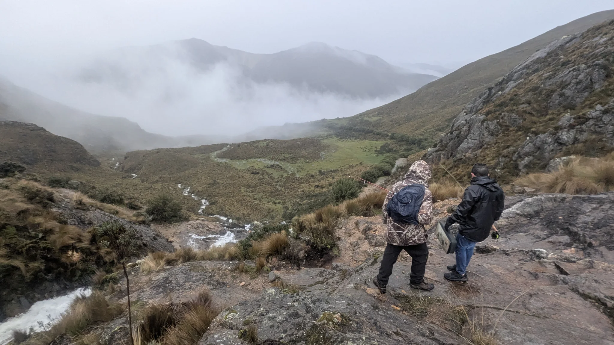 Un sendero rocoso sobre el valle