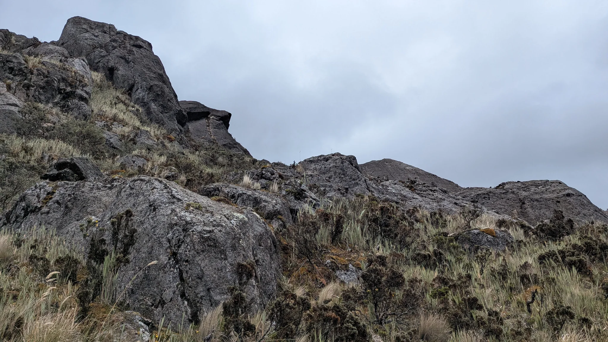 Un peñasco oscuro sobre el pajonal rocoso