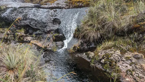 Agua entre rocas de montaña