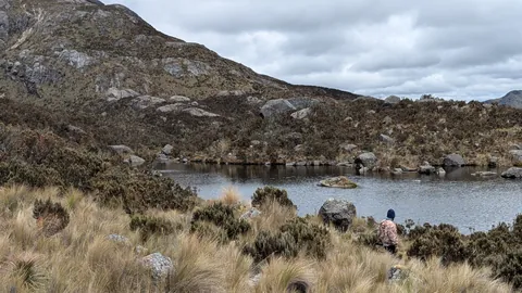 Un caminante junto a una laguna pequeña.