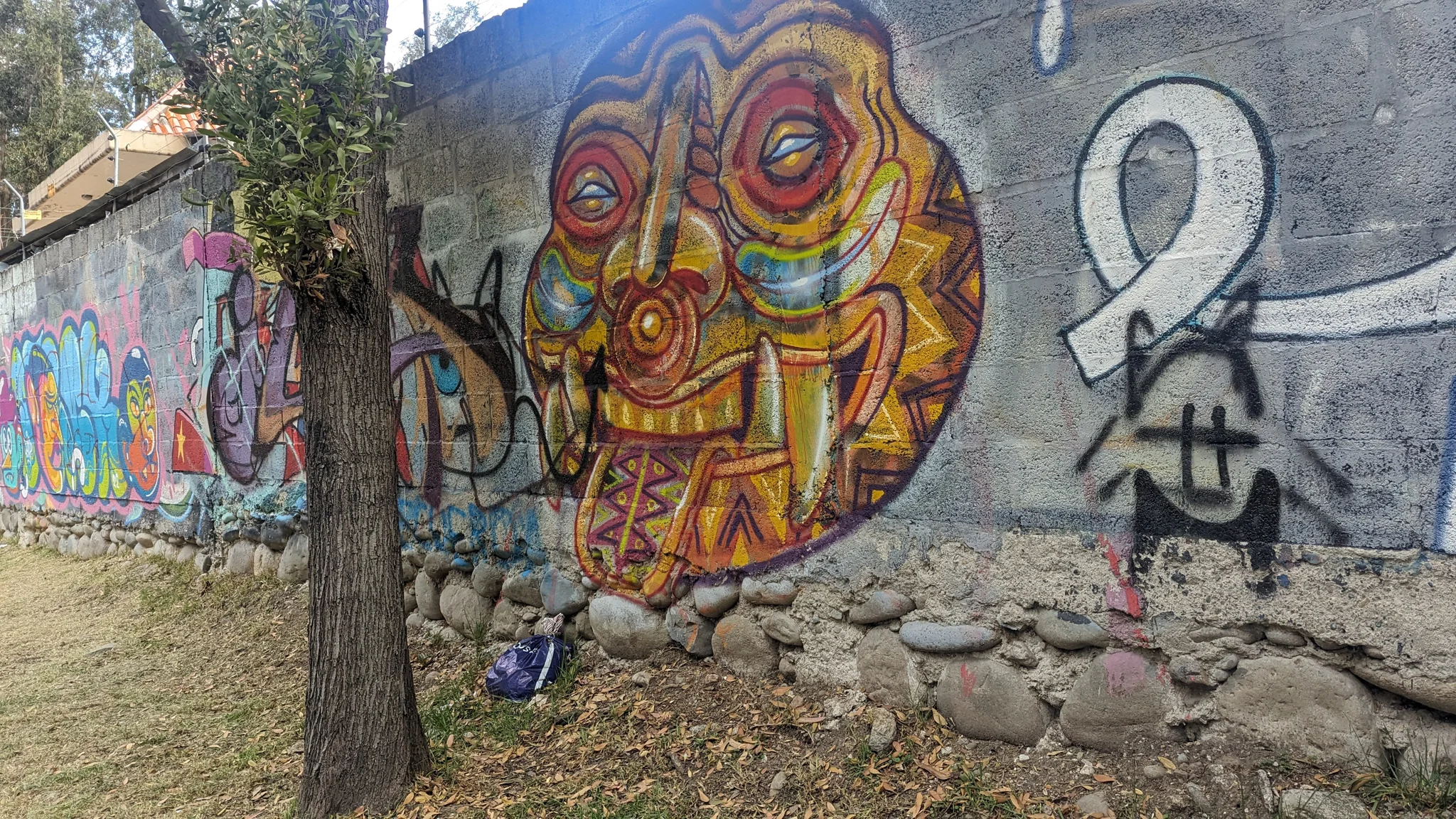 Un rostro de colores en un muro junto al río