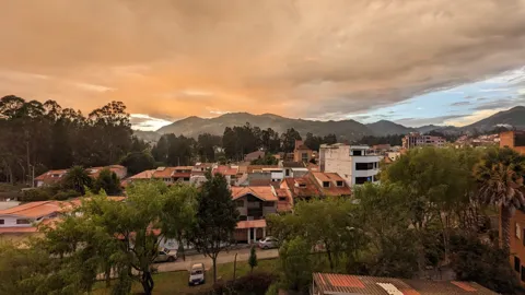 Luz cálida sobre un barrio arbolado
