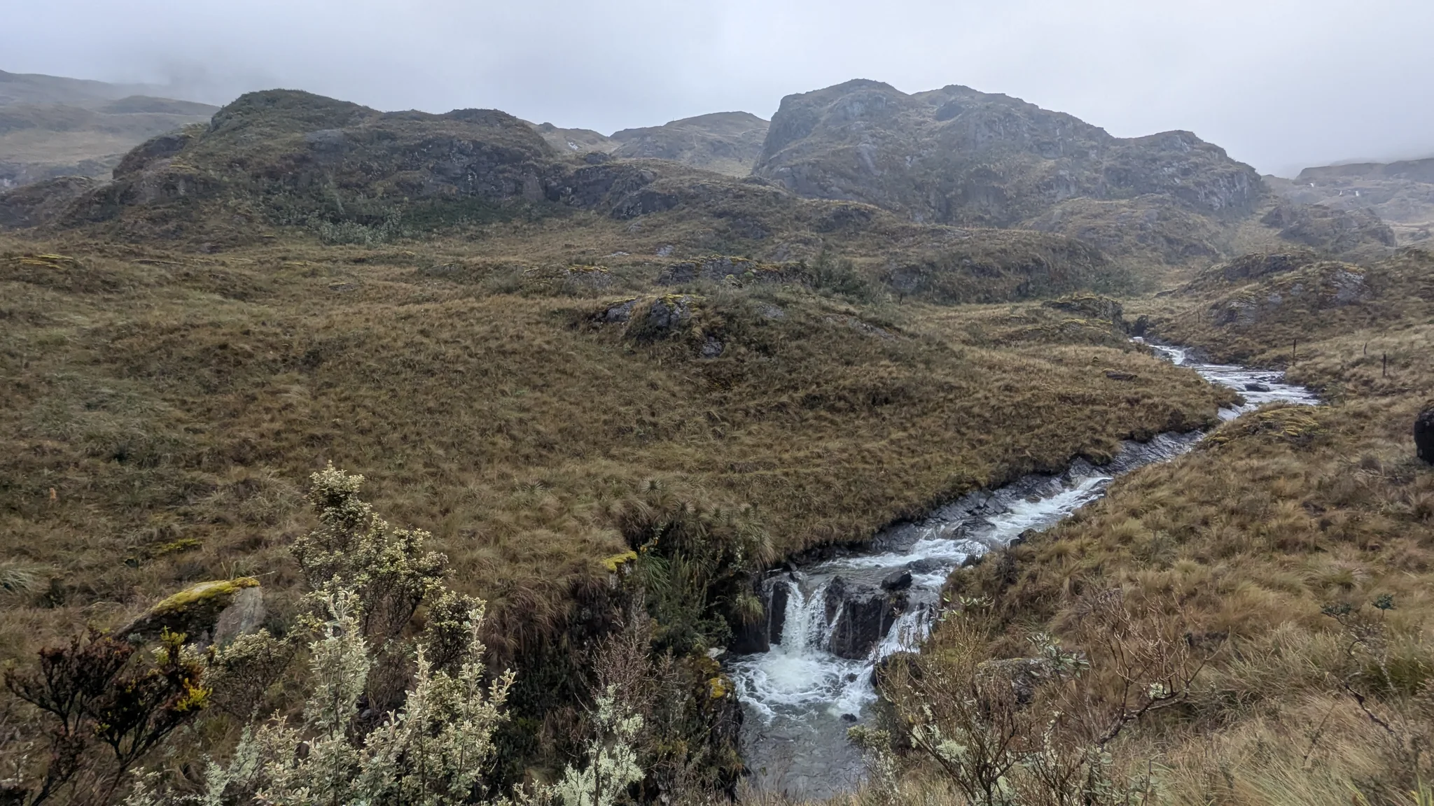 Un arroyo que serpentea por las tierras altas