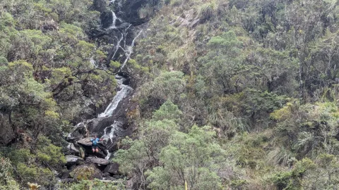 Una cascada entre laderas verdes