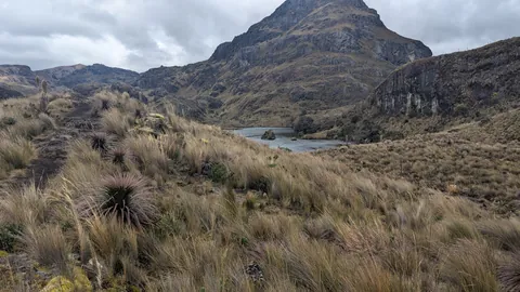 La laguna Toreadora aparece más allá de una ladera de pajonal bajo una cumbre rocosa escarpada y estratificada.