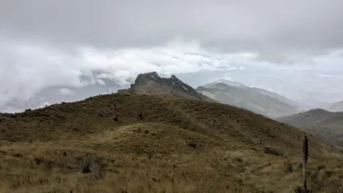 Una cumbre redondeada bajo cielos grises