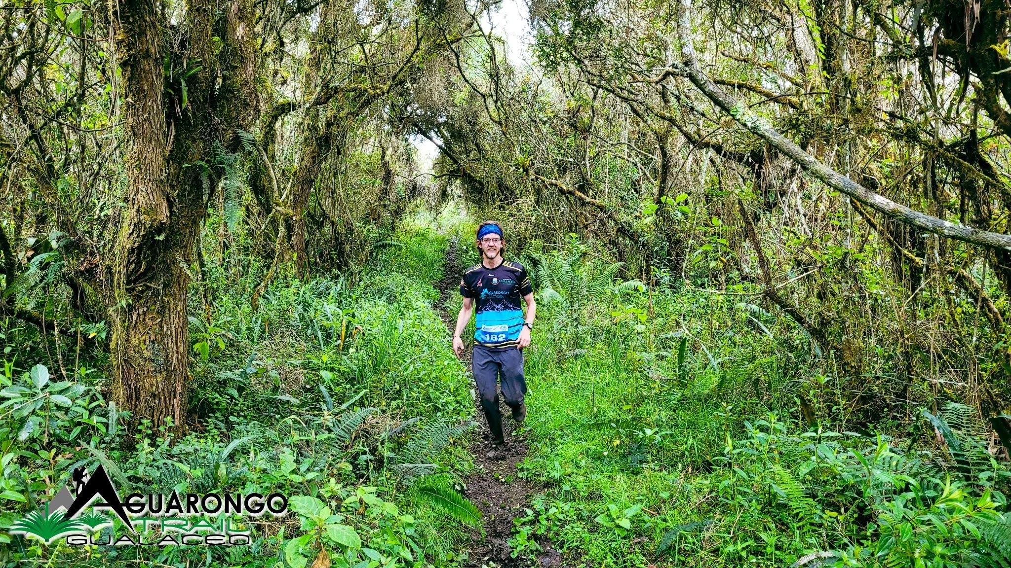 Corriendo bajo un dosel de musgo