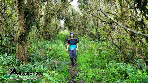Corriendo bajo un dosel de musgo