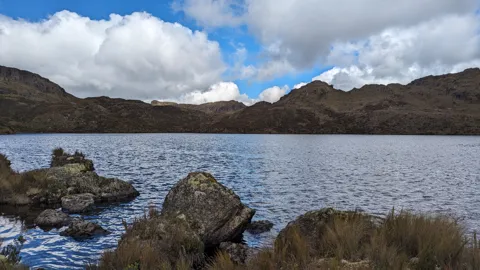 Patos Colorados bajo un cielo azul.