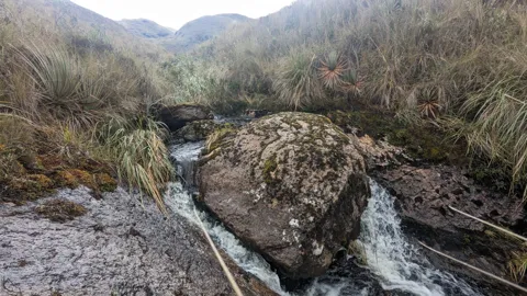Un arroyo se divide alrededor de una roca