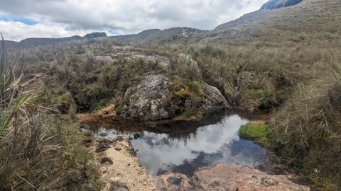 Una poza al pie de una ladera rocosa. El nombre del cuerpo de agua sigue sin confirmarse.