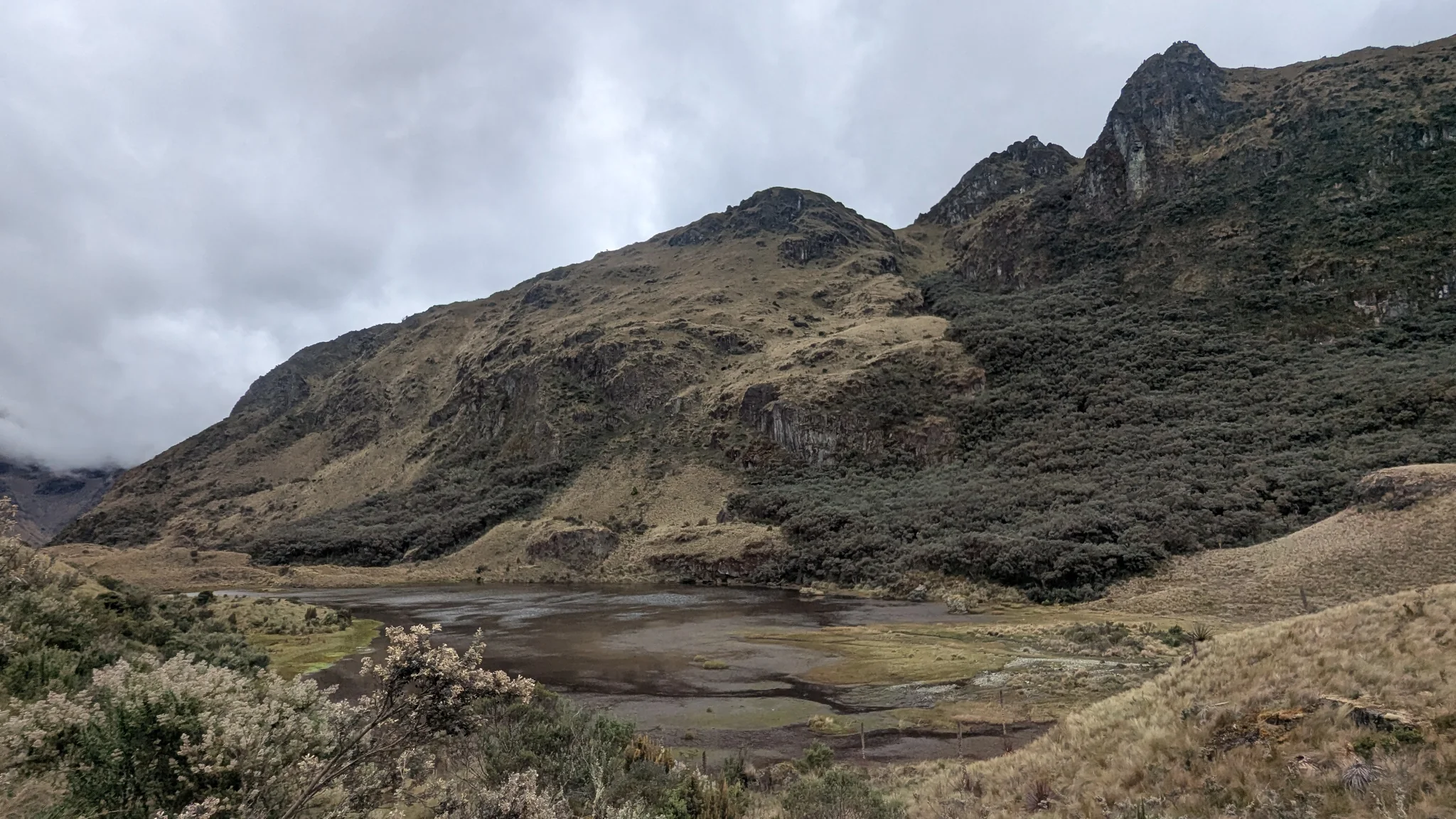 Márgenes expuestos de Laguna Barrancos.