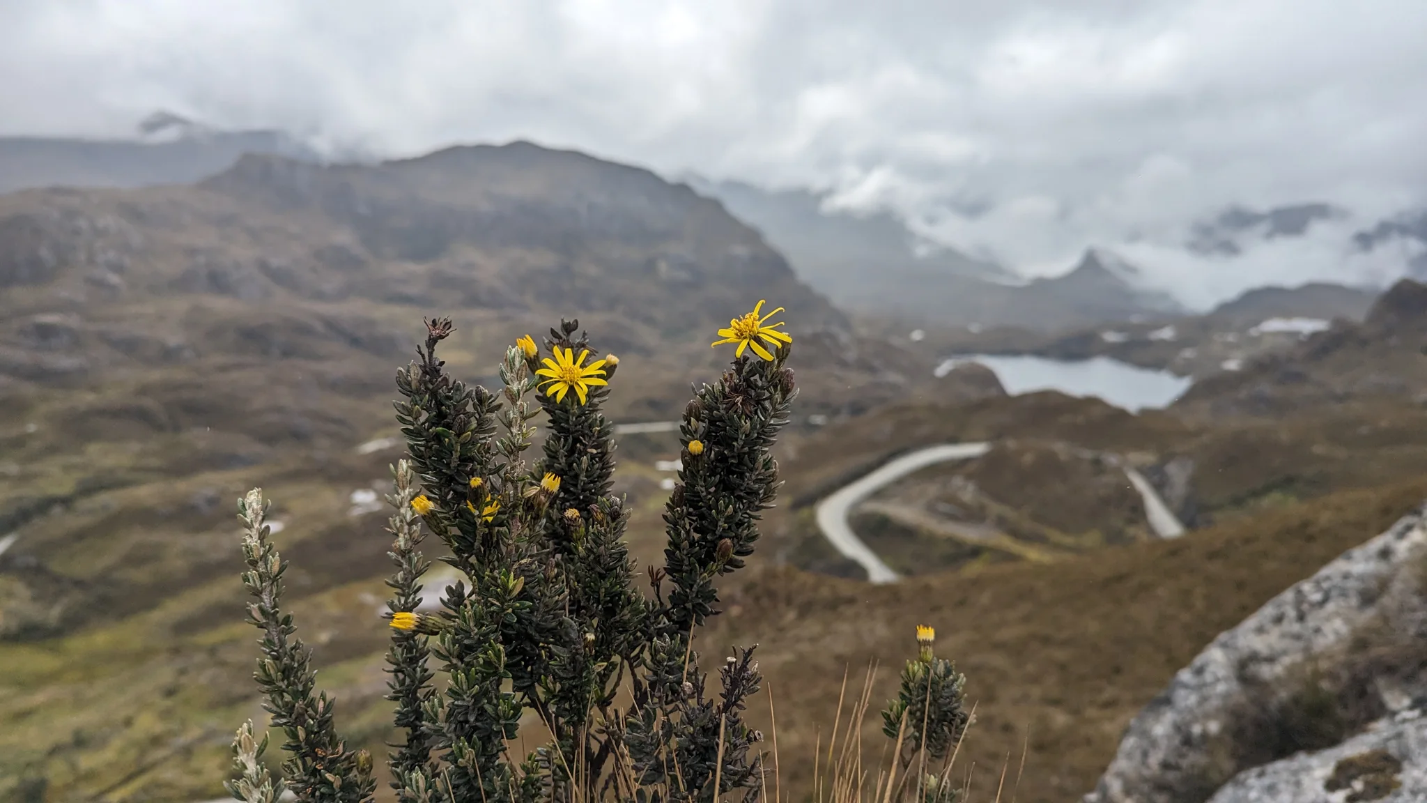 Sobre un valle de montaña sinuoso