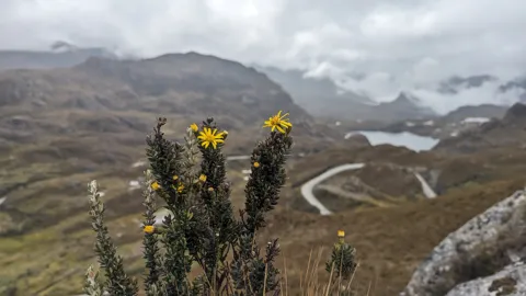 Sobre un valle de montaña sinuoso