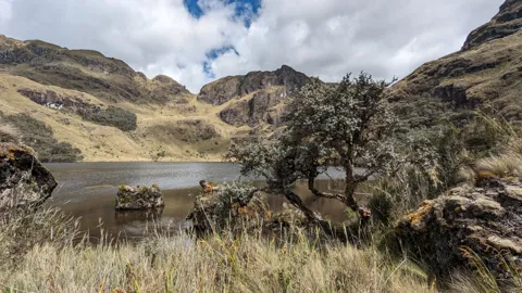 Una orilla rocosa bajo las nubes