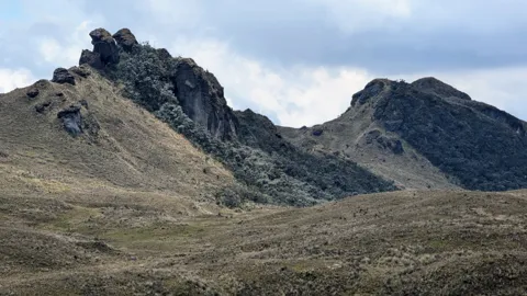 Roca oscura que emerge del pajonal