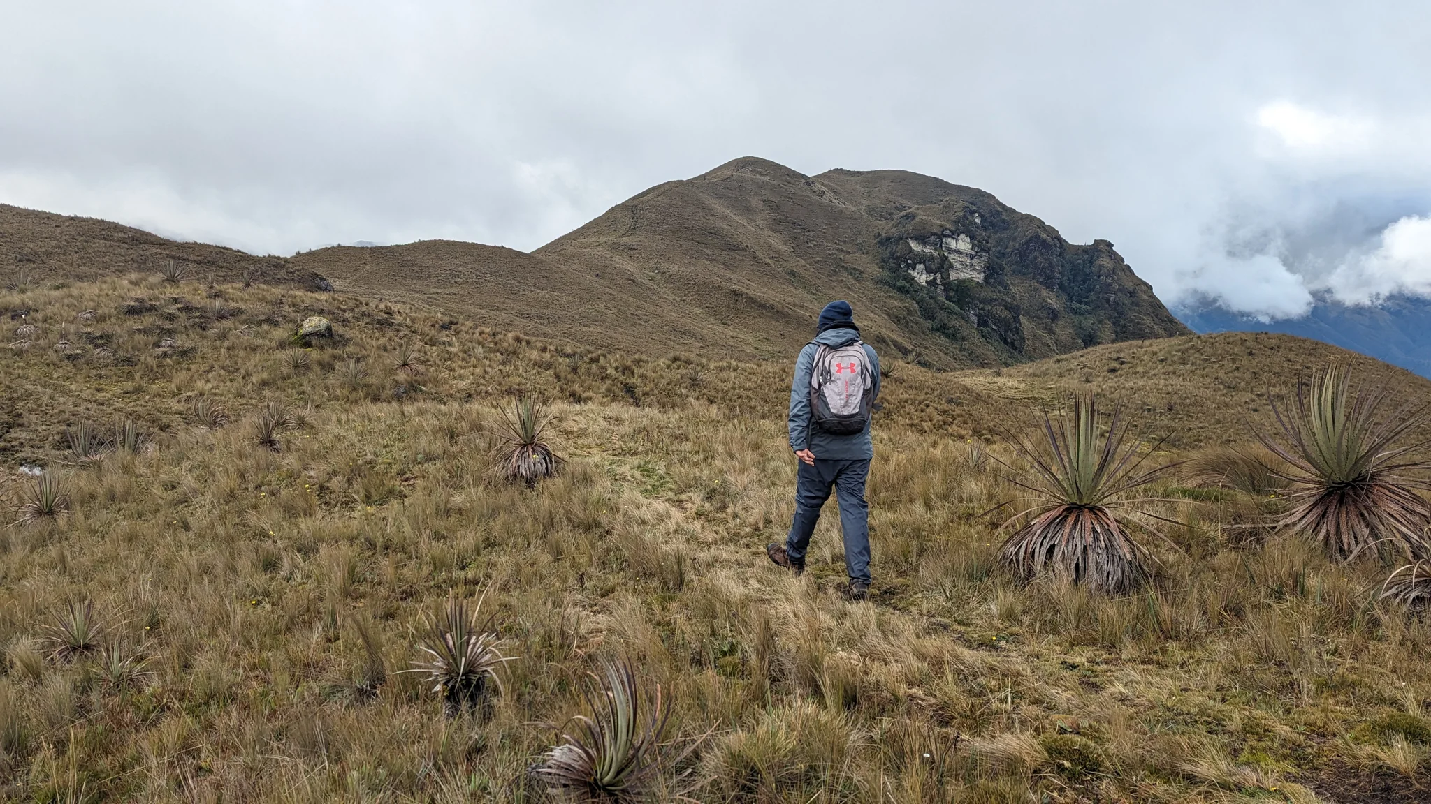 Travesía por el páramo abierto