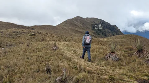 Travesía por el páramo abierto