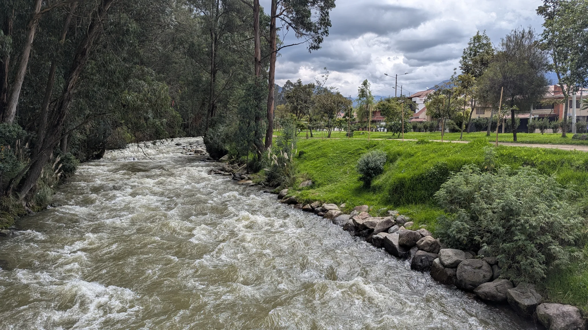 Agua rápida junto al sendero de la ribera