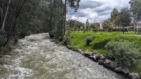 Agua rápida junto al sendero de la ribera